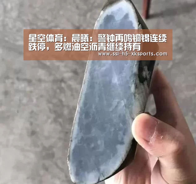 星空体育:晨曦:警钟再鸣铜锡连续跌停,多燃油空沥青继续持有(图2) 星空体育网址